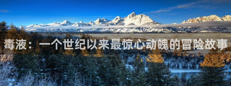 星空影视 下载