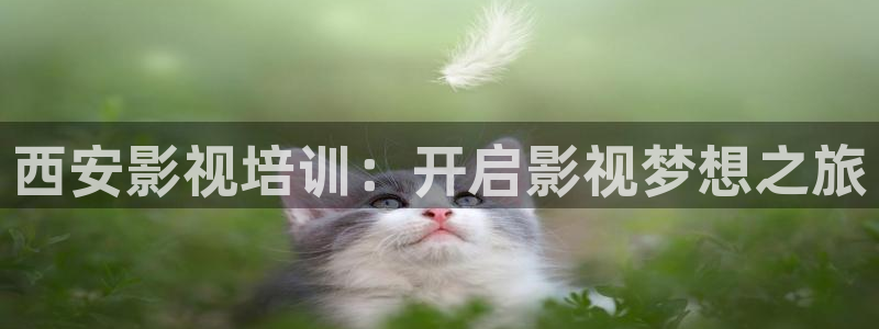 星空影院免费观看电视剧电影最新合