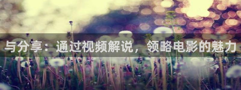 星空影视网