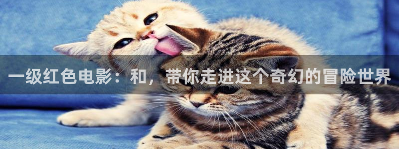 星空影院电视免费播
