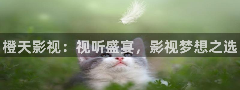 星空影视安全吗