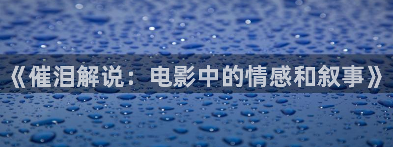 星空影视官网入口