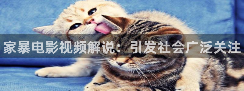 在线观看星空影视