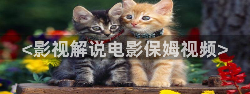 星空影院在线观看电视剧免费播放电视剧