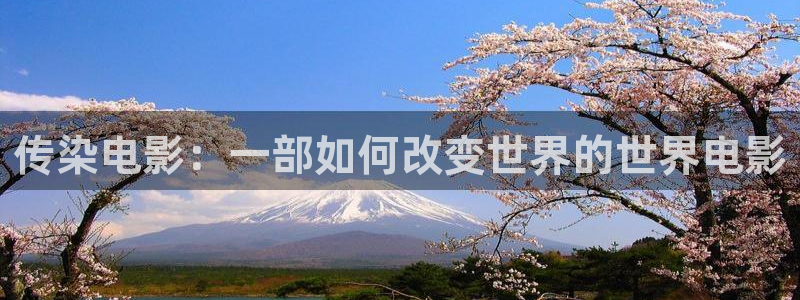 星空影视官网入口