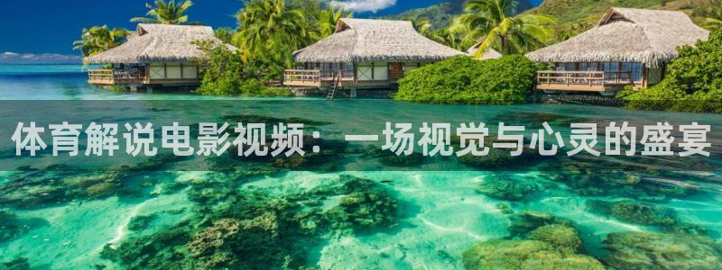星空影视平台