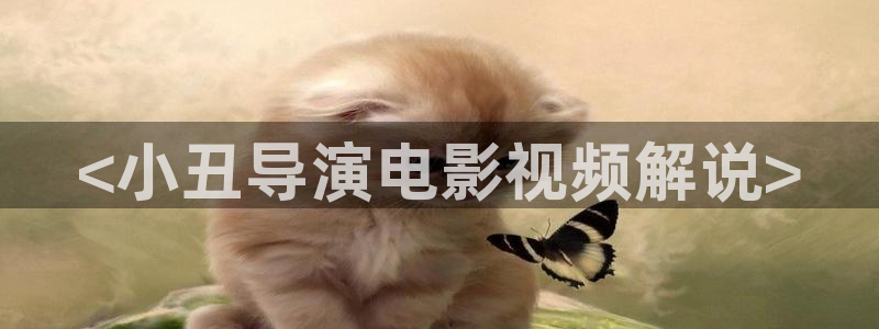 风车动漫动漫星空